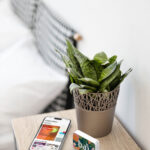 Custom Branded Pocket Bluetooth Speaker by SwagSway Promotions_SwagSway Promotions is the Top Supplier for Promotional Products, Branded Merch, Company Swag in Canada and the US